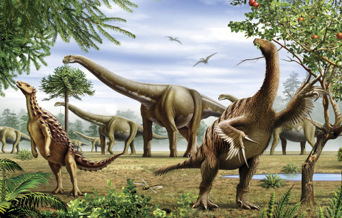 A grouo of Scelidosaurus, Nothronychus and Argentinosaurus dinosarus grazing on trees and leaves Poster Print - Item # VARPSTMHA600022P