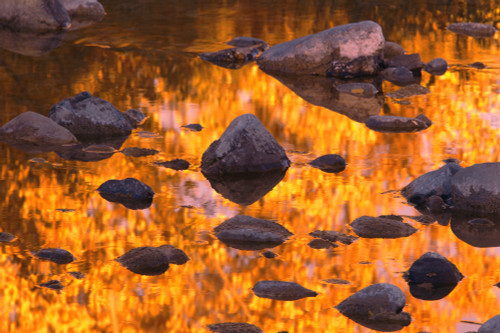 Autumn Reflections PosterPrint - Item # VARDPI1784112
