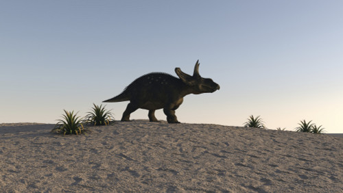 Triceratops walking across a barren landscape Poster Print - Item # VARPSTKVA600492P