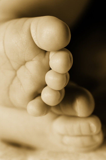 A Baby's Feet PosterPrint - Item # VARDPI5536