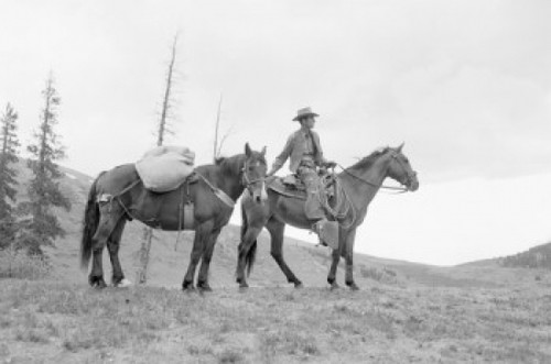 Side profile of cowboy with two horses Poster Print - Item # VARSAL2557592