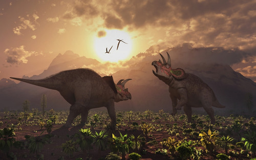 Territorial confrontation between two male Triceratops during the Cretaceous period of time Poster Print - Item # VARPSTMAS100983P