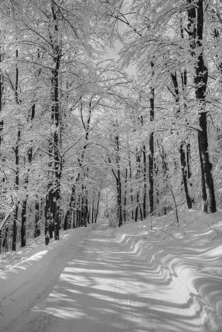 A snow covered road in winter; Iron Hill, Quebec, Canada PosterPrint - Item # VARDPI2333777