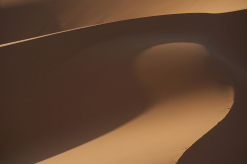 Morocco, Detail of sand dunes in Erg Chebbi area; Sahara Desert near Merzouga PosterPrint - Item # VARDPI2297326