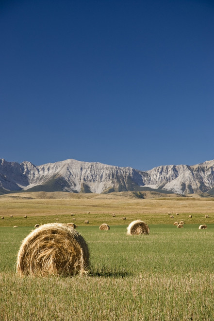 Southern Alberta, Canada; Hay Bales PosterPrint - Item # VARDPI1837075