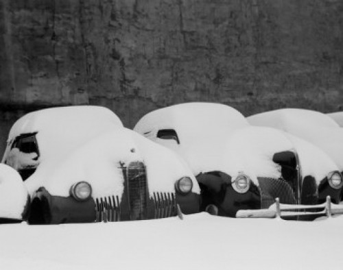 Parked cars covered by snow Poster Print - Item # VARSAL255418416