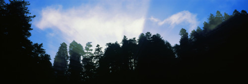 http://c328301.r1.cf1.rackcdn.com/PPI152727S.jpg