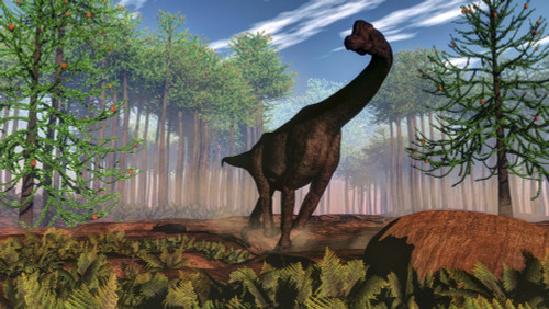 Brachiosaurus dinosaur amongst an Araucaria forest Poster Print - Item # VARPSTEDV600262P