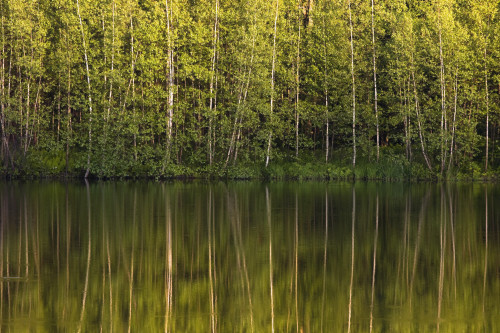 Trees Reflected In The Water; Foster, Quebec, Canada PosterPrint - Item # VARDPI1881397