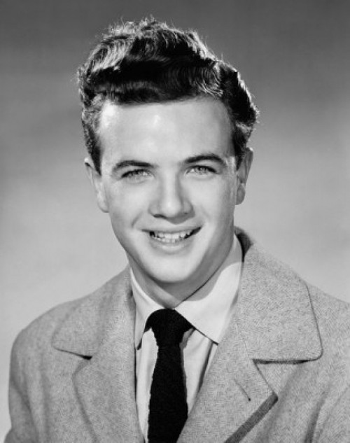 Studio portrait of teenage boy smiling Poster Print - Item # VARSAL2556280A Studio portrait of teenage boy smiling Poster Print - Item # VARSAL2556280A