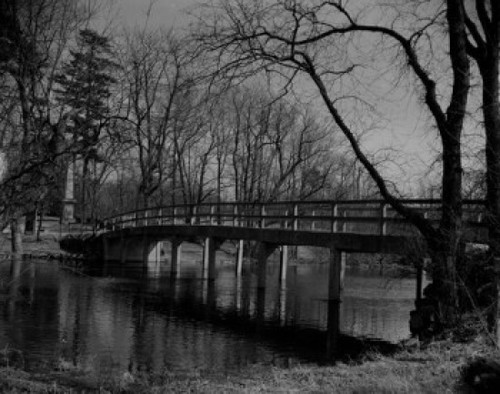 USA  Concord  bridge over river Poster Print - Item # VARSAL255424735