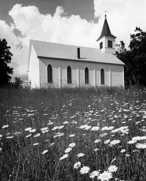 Rural Church In Field Of Daisies Poster Print By Vintage Collection (22 X 28) - Item # PPI186225LARGE