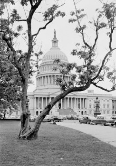 USA  Washington DC  US Capitol Building Poster Print - Item # VARSAL255422344 USA  Washington DC  US Capitol Building Poster Print - Item # VARSAL255422344