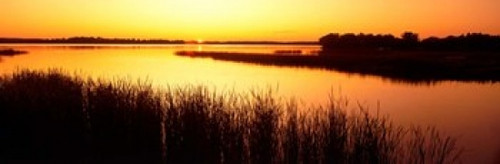 Minnesota  Deer Lake Poster Print by Panoramic Images (37 x 12) - Item # PPI6276