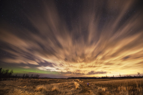 Night sky with aurora borealis; Thunder Bay, Ontario, Canada PosterPrint - Item # VARDPI12301410