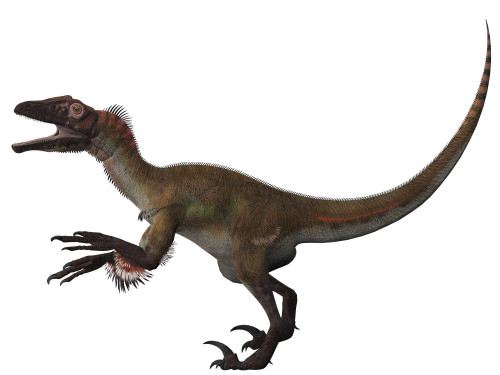 Utahraptor was a carnivorous dinosaur that hunted in packs during the Cretaceous Period Poster Print - Item # VARPSTCFR200166P