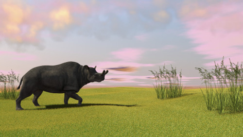 Brontotherium grazing in prehistoric grasslands Poster Print - Item # VARPSTKVA600023P