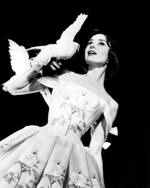 Funny Face Audrey Hepburn 1957 Movie Poster Masterprint - Item # VAREVCMBDFUFAEC002H