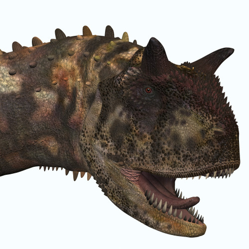 Carnotaurus was a theropod carnivorous dinosaur that lived in Argentina during the Cretaceous Period Poster Print - Item # VARPSTCFR200338P