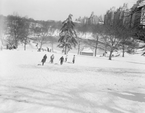 USA  New York State  New York City  Central Park in winter Poster Print - Item # VARSAL255419871