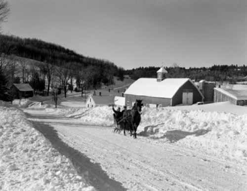 USA  Vermont  near Peacham  sleigh scene Poster Print - Item # VARSAL255421603