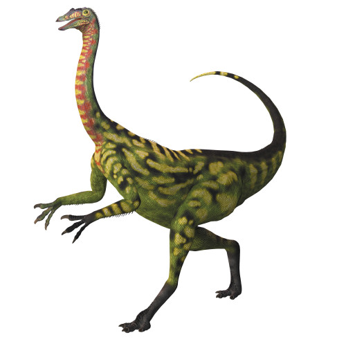 Deinocheirus, a large carnivorous theropod dinosaur of the Cretaceous period Poster Print - Item # VARPSTCFR200118P