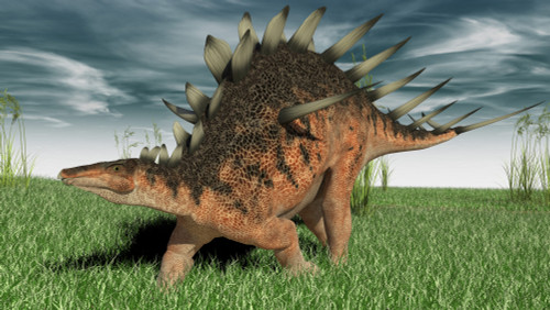 Kentrosaurus walking across prehistoric grasslands Poster Print - Item # VARPSTKVA600580P