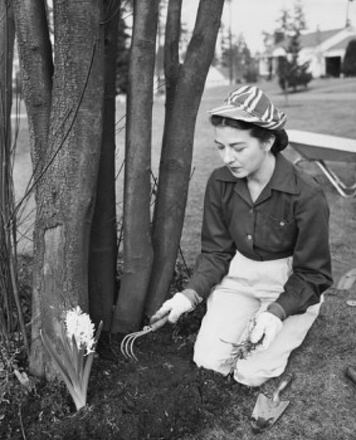 Young woman gardening Poster Print - Item # VARSAL25517110