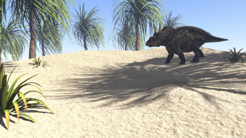 Triceratops walking in a tropical environment Poster Print - Item # VARPSTKVA600265P