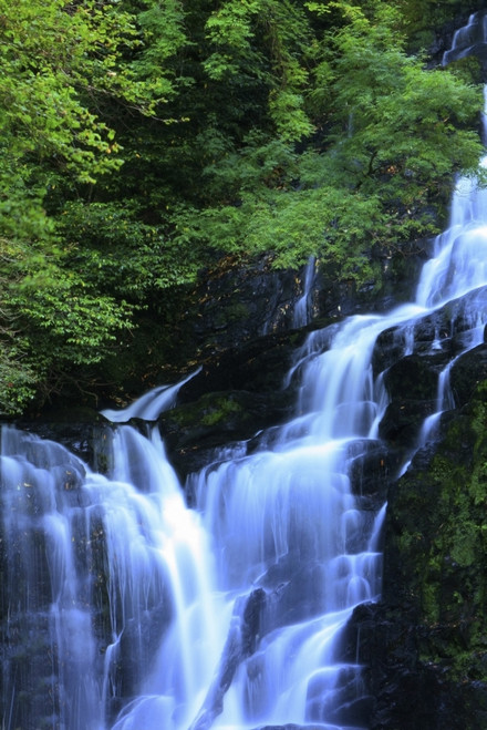 Torc Waterfall, Killarney National Park, County Kerry, Ireland PosterPrint - Item # VARDPI1844912