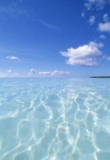 Tropical water with blue skies in background Poster Print by Panoramic Images (25 x 36) - Item # PPI124220