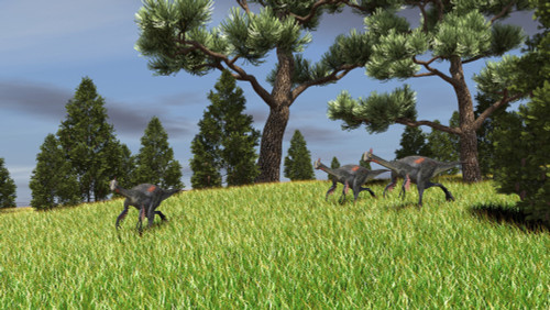 Three Gigantoraptors running across a grassy field Poster Print - Item # VARPSTKVA600470P
