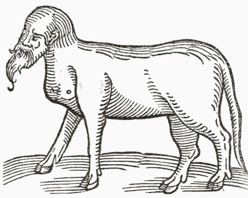 A human faced animal. From The Strand Magazine published 1897. PosterPrint - Item # VARDPI2430403