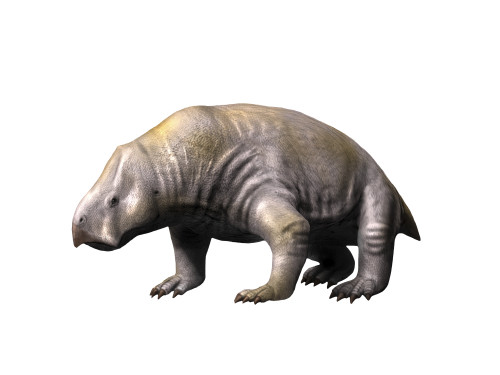 Ischigualastia is a dicynodont from the Late Triassic period Poster Print - Item # VARPSTNBT100175P