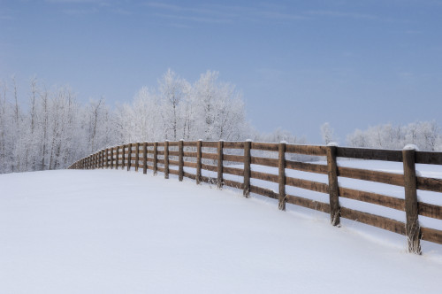 Fence In A Winter Wonderland, Strathcona County, Alberta PosterPrint