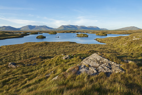 Landscape with mountains in the distance, east of Roundstone; Connemara, County Galway, Ireland PosterPrint - Item # VARDPI2429605