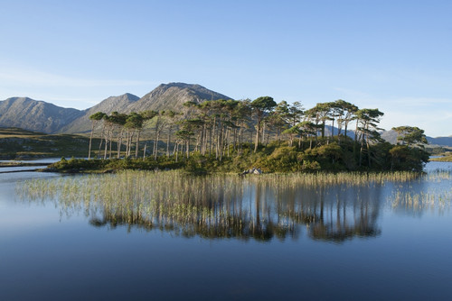 Derryclare Lough; Connemara, County Galway, Ireland PosterPrint - Item # VARDPI2428209
