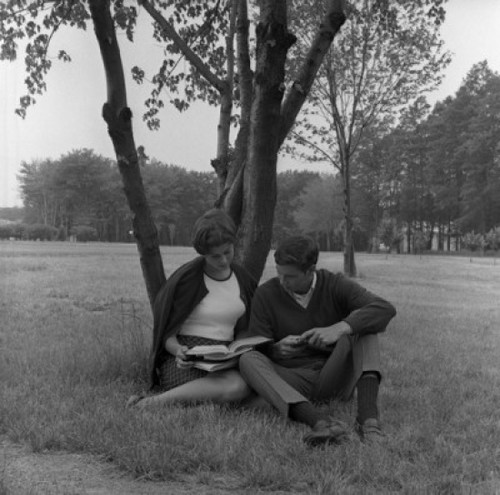 Young couple sitting under tree and reading book Poster Print