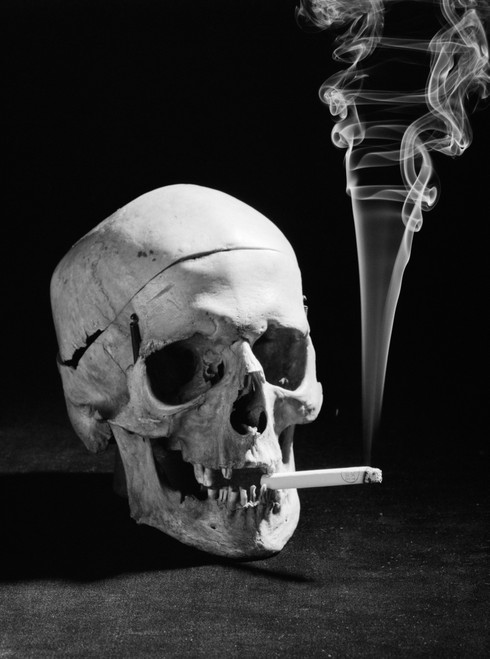 1930s Human Skull Smoking A Cigarette Poster Print By Vintage Collection (24 X 36) - Item # PPI179460LARGE