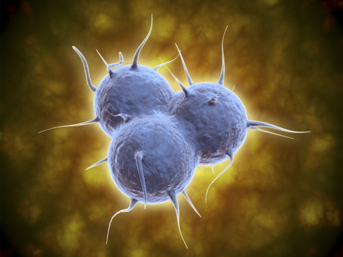 Conceptual image of RNA virus replication Poster Print - Item # VARPSTSTK701020H