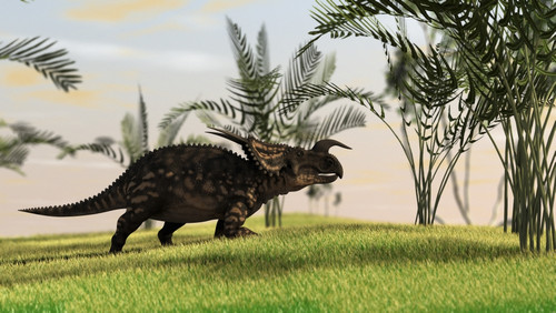 Brown Einiosaurus walking in a field Poster Print - Item # VARPSTKVA600191P
