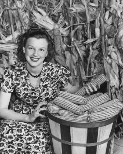 Young woman sitting beside a basket of corn in a corn field Poster Print - Item # VARSAL25528739