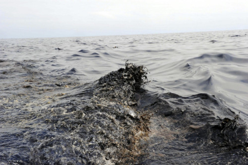 Part of an oil slick in the Gulf of Mexico Poster Print - Item # VARPSTSTK103752M