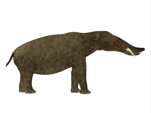 Deinotherium with offspring. Deinotherium was an enormous land mammal that  lived in Asia, Africa and Europe during the Miocene to Pleistocene Periods  Poster Print - Item # VARPSTCFR200653P - Posterazzi