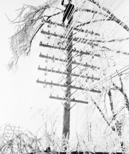 Lineman clearing branches of ice laden tree from telephone and telegraph lines Poster Print - Item # VARSAL255424637