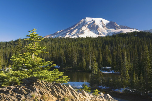 Snow-Capped Mountain; Washington,Usa PosterPrint - Item # VARDPI1861122