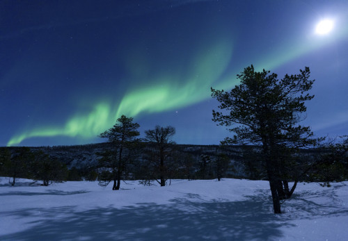 Aurora Borealis, Forramarka, Troms, Norway. print by Arild Heitmann