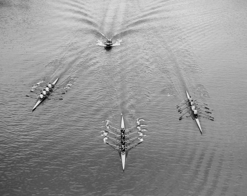 1950s Aerial View Of Rowing Competition Poster Print By Vintage Collection (22 X 28) - Item # PPI172456LARGE