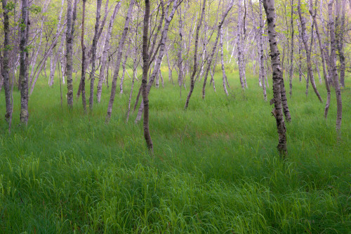 http://c328301.r1.cf1.rackcdn.com/PPI153701S.jpg