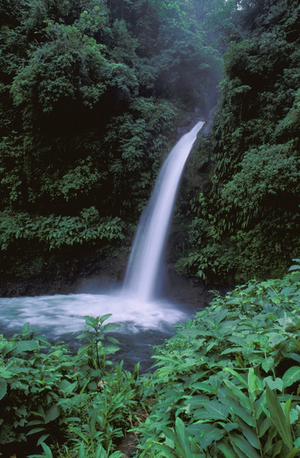 Tropical Waterfall PosterPrint - Item # VARDPI756641